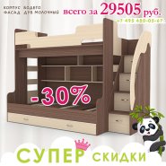 Кровать двухъярусная Фанки Кидз 21 СВ
